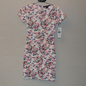 NWT French Connection Floral Dress